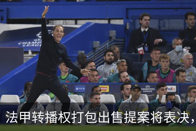 法甲转播权打包出售提案将表决，自营平台年入不足9000万欧